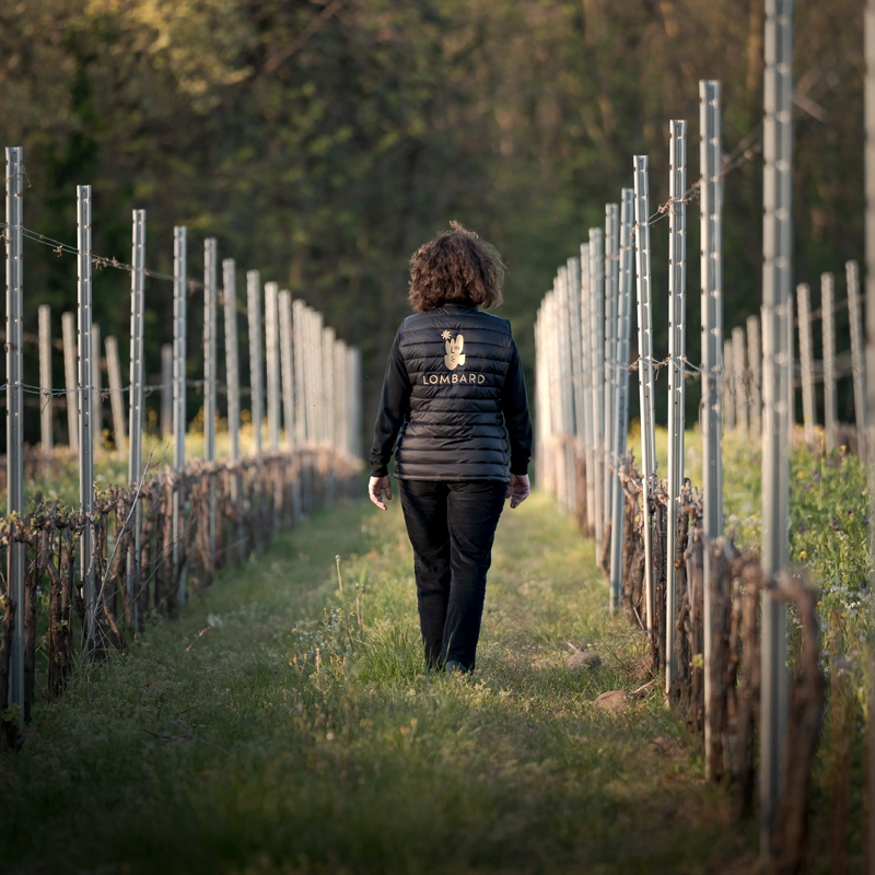 Domaine Lombard