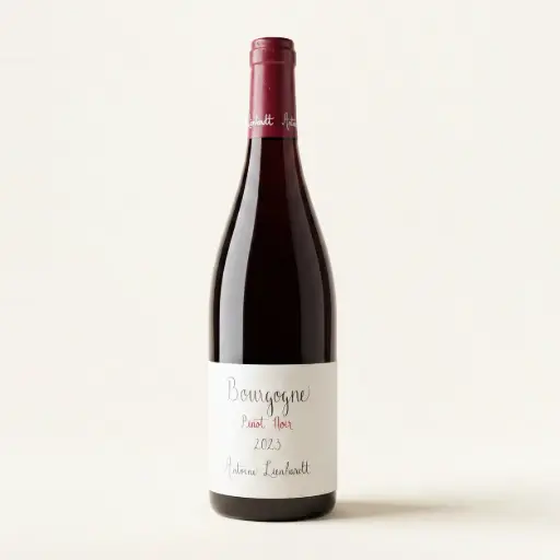 Lienhardt Antoine Bourgogne Pinot Noir 2023
